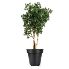 Blumentopf Pflanzkübel