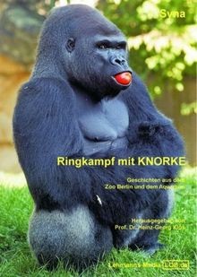 Ringkampf mit knorke - ringkampf, syna