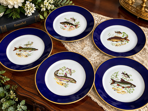 Rosenthal fischservice - fischservice, 5