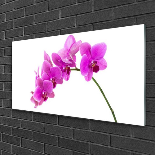 Acrylglasbilder 100x50