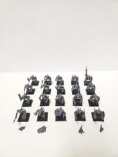 Saurus Warriors Sauruskrieger