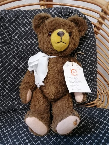 Teddybär teddy bär firma - teddy,