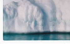 Rewe WWF Tier Abenteuer