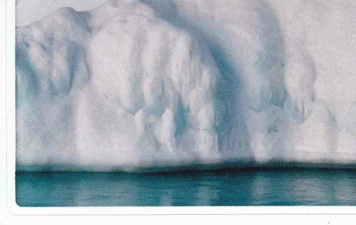 Rewe wwf tier abenteuer - wwf,