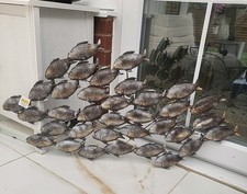 Metall WANDBILD Fisch hängend