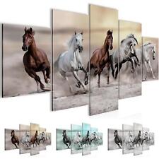 Wandbilder Wohnzimmer XXL