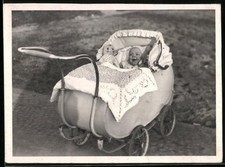 Fotografie lachendes Baby mit