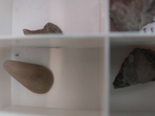 Konvolut 2  Silur von Gotland