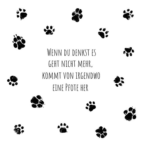 Servietten pfote hund - pfote,