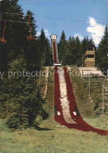 Bischofsgruen