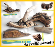 Treibholz schwemmholz skulptur - treibholz,