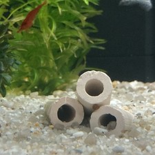 ATR ⭐ 24 Tonröhrchen ⭐