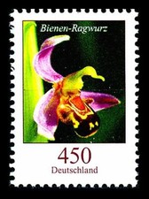 Blumen 450 - c, (bienen-ragwurz)
