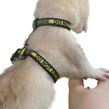 Frettchen Geschirr    Zubehör