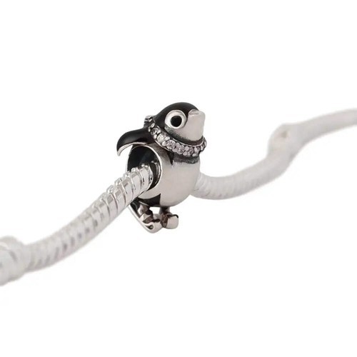Charm pinguin auf - pinguin,