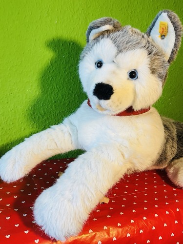 Steiff studio hund - studio,