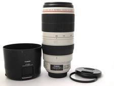 Canon EF 100-400mm 4.5-5.6 L