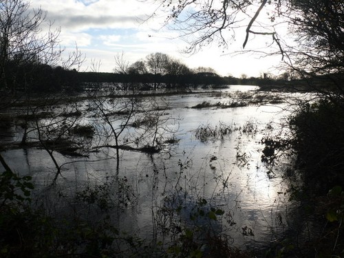 Foto fluss bladnoch - foto,