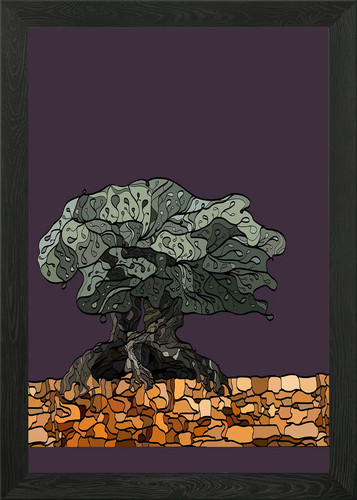 Millennial olive tree - millennial,