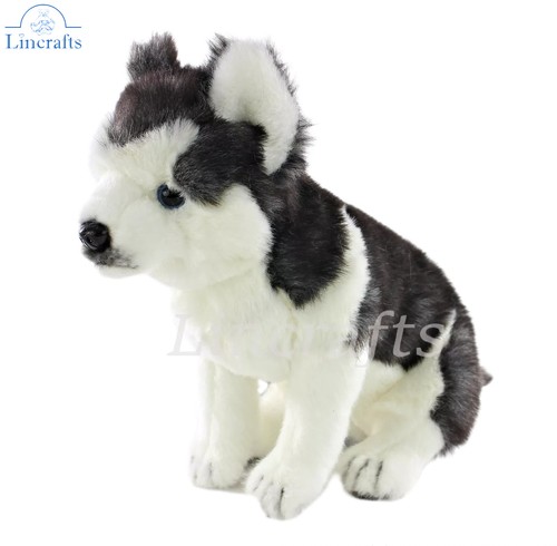 Hansa husky welpe 6969 - hansa,