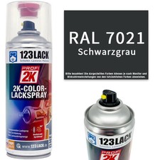 Spraydose lackspray matt - spraydose, 2k