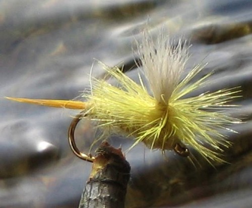 Gilchrist fliegen x - fliegen., 3