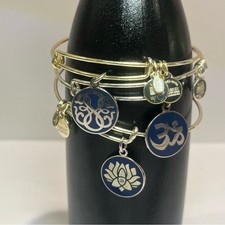 Alex und Ani Gold/Silber