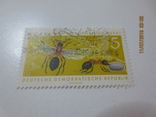 DDR 1962 MiNr 869 F46 neuer PF nach Schantl gestempelt