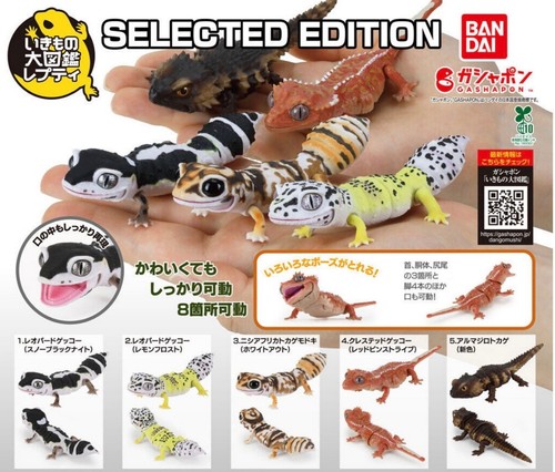 Bandai gashapon selected - gashapon,