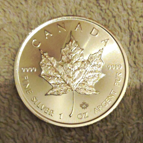 Kanada maple leaf ahornblatt - maple, leaf/ahornblatt