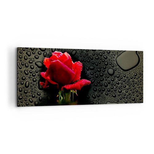 Wandbilder 100x40cm