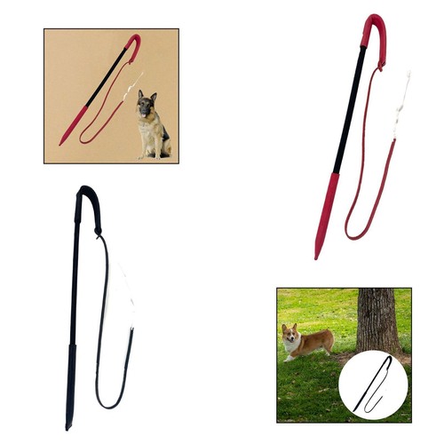 Hundetraining peitsche - hundetraining,
