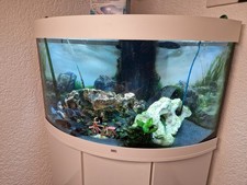Eckaquarium mit Unterschrank