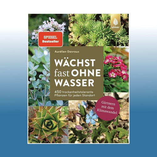 Wächst fast ohne wasser - fast,