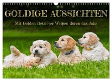 Goldige Aussichten - Mit