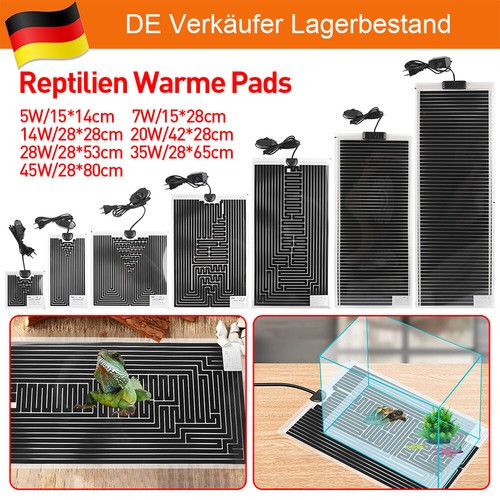 Pet reptile - pet,