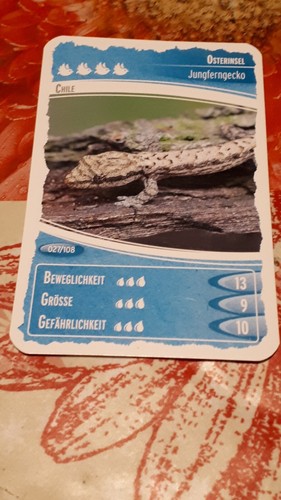 Ozeanien schätze unseres - 7,