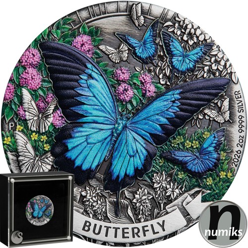 Schmetterling butterfly 2026 - butterfly,
