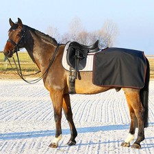 Euroriding Softshell