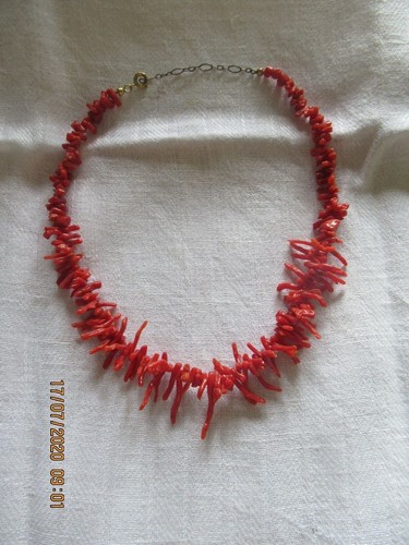 Korallenkette astkoralle ca - ,