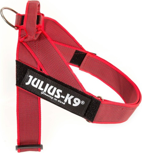Julius idc color - julius-k9,, idc®