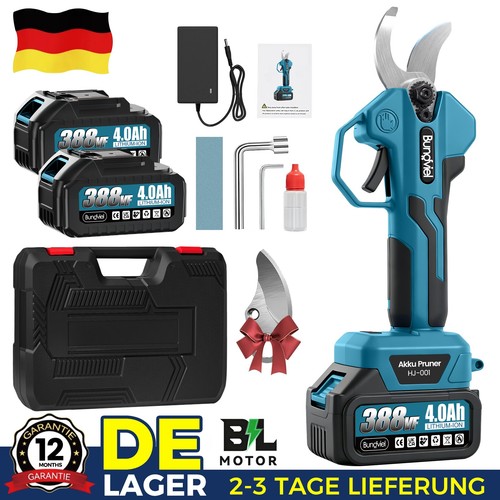 21V.Elektrische