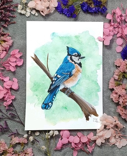 Blauhäher aquarellgemälde - blauhäher,
