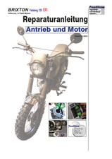 Reparaturanleitung RIS Brixton