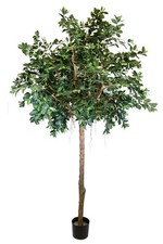 artplants Deko Pflanze Ficus