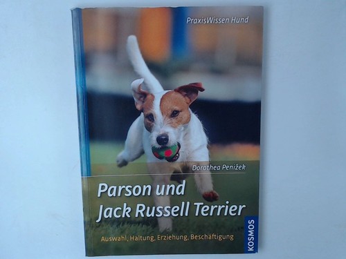 Parson und jack russell - parson,