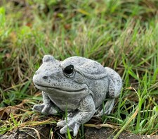 Frostfeste Steinfigur Frosch