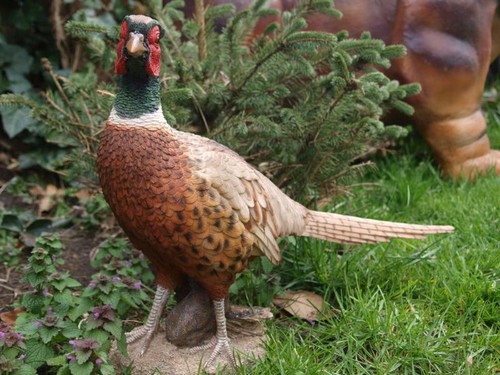 Fasan deko figur - deko,
