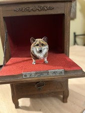 🌸 Miniatur Hund Figur