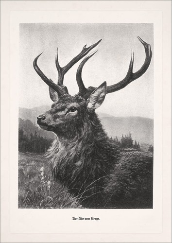 Der alte vom berge - der,
